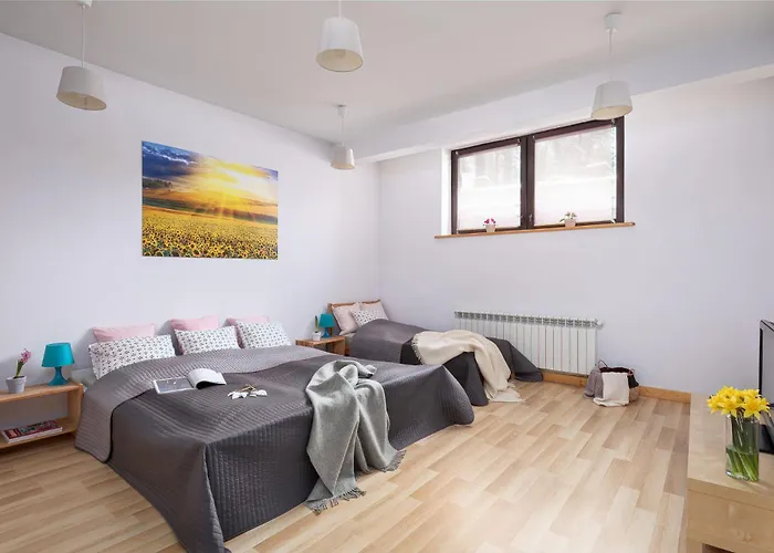 Apartament Bystre